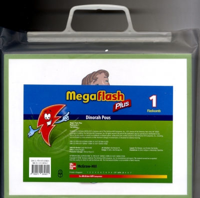 Mega Flash Plus Card 1