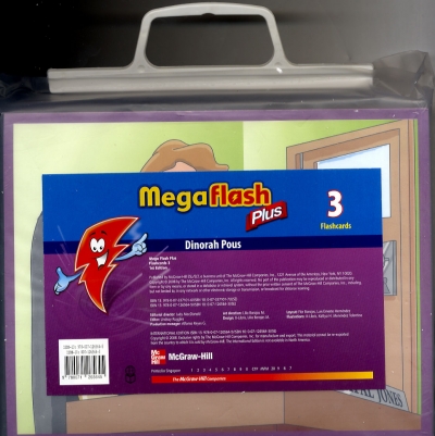 Mega Flash Plus Card 3