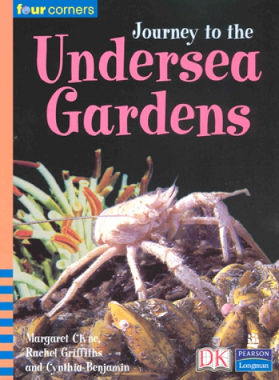 Four Corners Fluent 53 / Journey to the Undersea Gardens