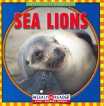 Weekly Reader / Animals III (3)Sea Lions / Book
