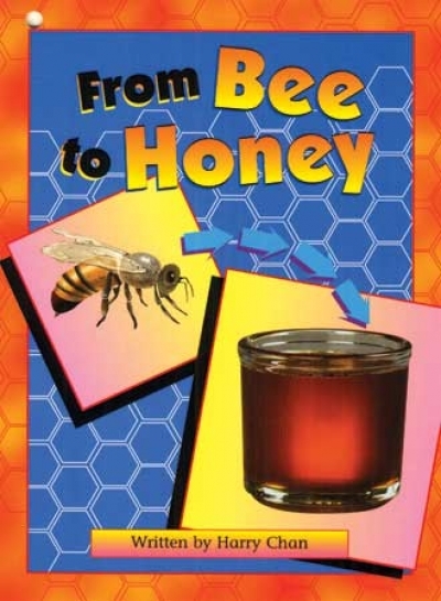 Take Twos Grade1 Kit2 / E:From Bee to Honey