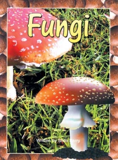 Take Twos Grade1 Kit3 / J:Fungi