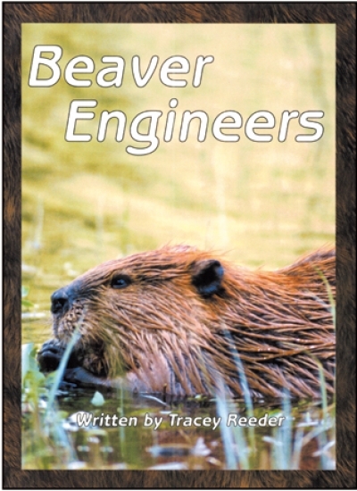 Take Twos Grade2 Kit3 / L:Beaver Engineers