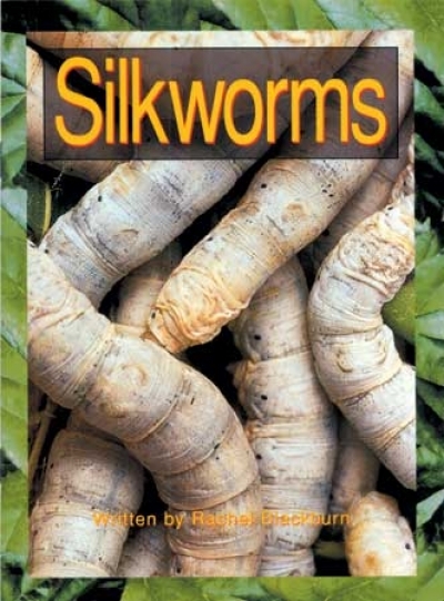 Take Twos Grade2 Kit3 / K:Silkworms