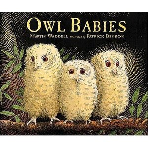 MLL Set(Book+Audio CD) Board Book-25 / Owl Babies