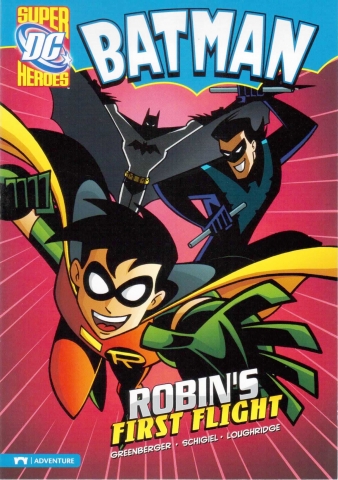 Capstone DC Super Heroes / Batman / Robins First Flight