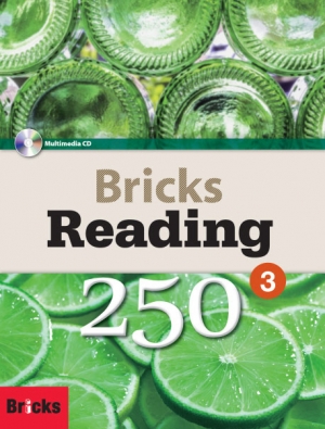 Bricks Reading 250 3