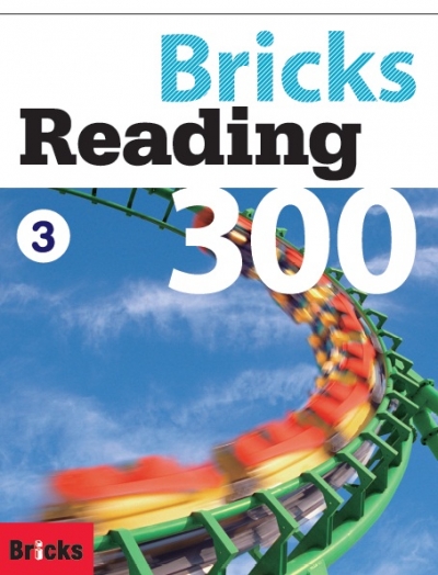 Bricks Reading 300 3