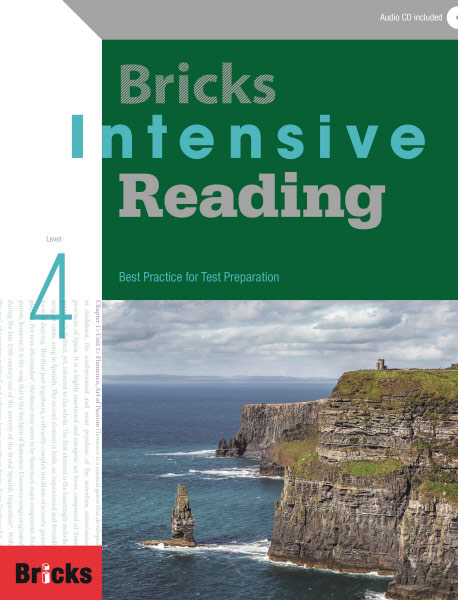 Bricks intensive reading 4