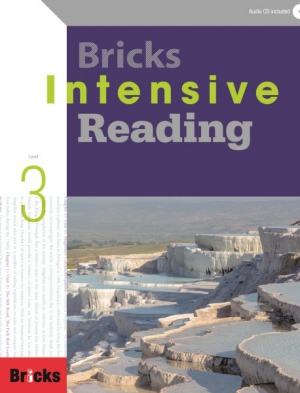 Bricks intensive reading 3 isbn 9788964359051