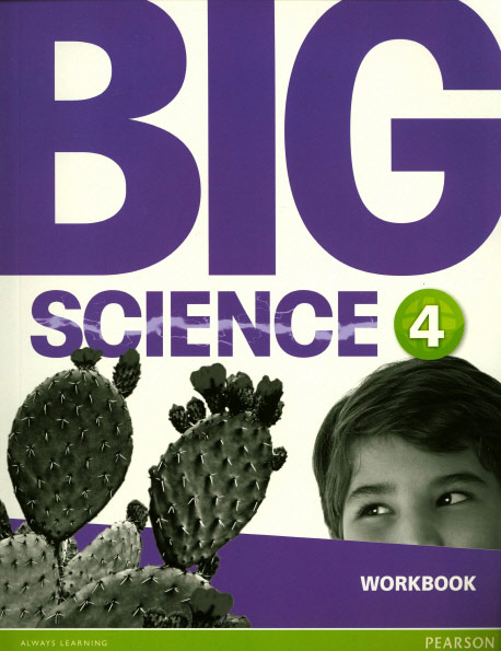 Big Science 4 Workbook isbn 9781292144566