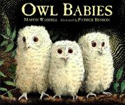 MY Little Library / Board Book 25 : Owl Babies (Board Book)