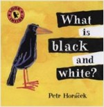 My Little Library Set(Book+Audio CD) (MLL) / Infant & Toddler - 20 / What is Black and White?