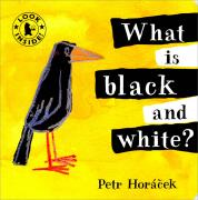 My Little Library / Infant & Toddler 20 : What Is Black and White? (Board Book)