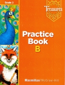 Treasures Grade 3 Practice Book Beyond