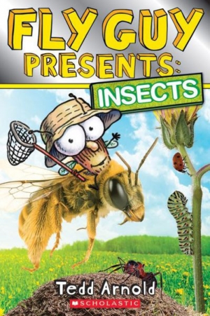 Fly Guy Presents Insects (PB) / isbn 9780545757140