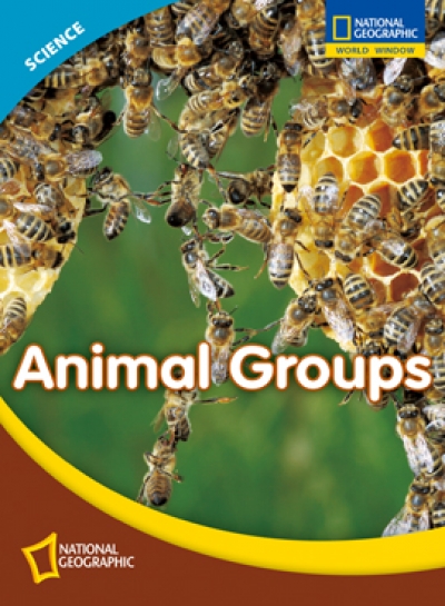 National Geographic World Window / Science : Level 3 - Animal Groups (Student Book 1권+ Workbook 1권 + CD 1장)