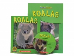 Brain Bank Grade 1 Science Koalas 세트